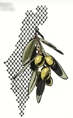 an olive branch hanging from a mesh screen