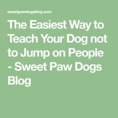 the easy way to teach your dog not to jump on people - sweet paw dogs blog