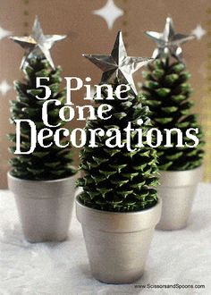 three small christmas trees in pots with the words 5 pine cone decorations