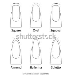 Nail Shape Chart, Square Oval Nails, Nails Shapes, Nail Shapes Squoval, Business Nails, Different Nail Shapes