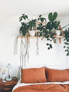 a bed topped with lots of green plants next to a wall mounted potted plant