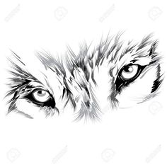 an artistic black and white drawing of a tiger's eyes stock photo, images and royalty