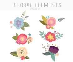 flowers and leaves are arranged in different colors on the white background with text that says floral elements