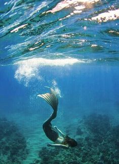 a large fish swimming in the ocean with its tail extended and it's head under water