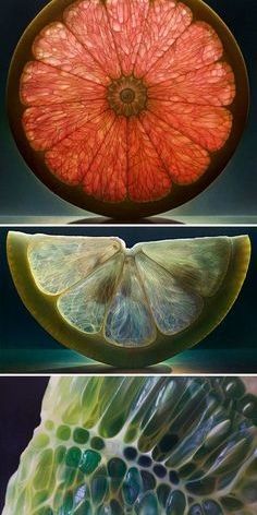 four different types of fruit are shown in three pictures, one has an orange and the other is a grapefruit