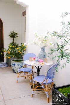 two blue and white chairs sitting next to a table with food on it in front of a potted plant