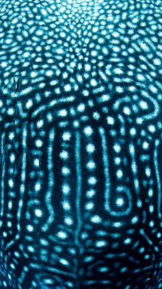 a close up view of the inside of a blue object with white dots on it