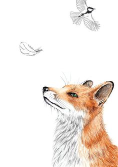 a drawing of a fox looking up at a bird flying by it's side