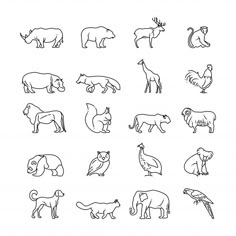 the different types of animals that can be seen in this drawing, including lions, bears and