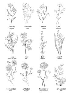 an image of different flowers in the zodiac sign style for each zodiac sign, as well as date and month