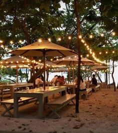 people sitting at tables under umbrellas with lights strung over them on the beach in front of trees