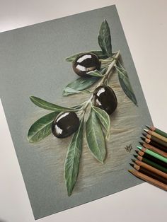 an oil painting of olives with leaves and pencils