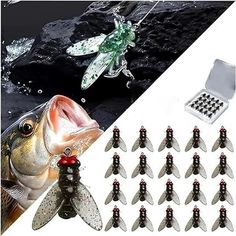 fishing lures and hooks are shown in this collage with the image above them