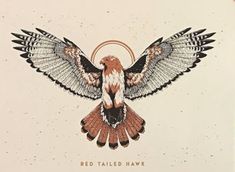 an image of a bird with its wings spread out and the words red tailed hawk on it