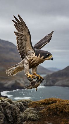 a bird flying over the top of a rocky hill next to a body of water