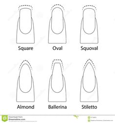 Book Nails, Shape Drawing, Tech Education, Shapes Vector