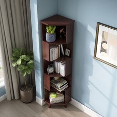 a corner shelf with books on it next to a potted plant in a blue room