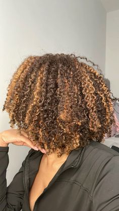 Natural Hair Dye Highlights, Dyed Hair Black And Brown, 4b Dyed Natural Hair, 4c Honey Brown Hair, Highlight Afro Hair, Dyed Hair For Black Women Brown, Skunk Stripe With Highlights, Colored Hair On Black Women Natural Hair, Dyed Hair Ideas For Black Women