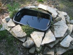 there is a fish pond in the middle of some rocks and grass on the ground