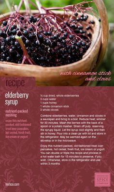 the recipe for elderberry syrup