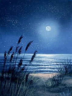 a painting of the ocean at night with stars in the sky and grass blowing in the foreground