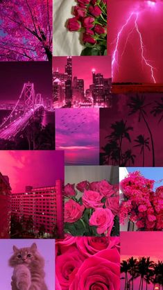 the collage shows pink and purple flowers, buildings, and trees with lightning in the background