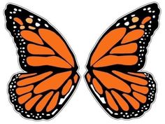 an orange butterfly with white dots on it's wings