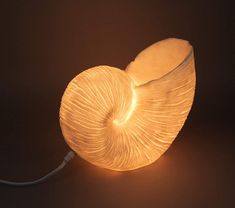 Nautilus Shell Accent Lamp - 10-in - Mellow Monkey Shell Sculpture, Extinct Species, Nautilus Shell, Elegant Beauty, Modern Coastal, Accent Lamp, Beach Cottages, Aesthetic Design, Nautilus