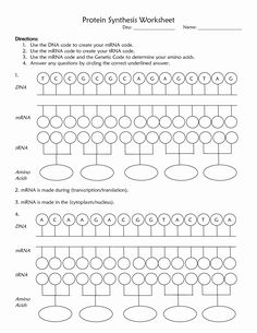 the worksheet for an activity to teach children about protein and their health needs