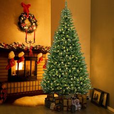 a lit christmas tree sitting in front of a fireplace