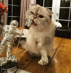 a cat sitting on top of a wooden table next to a silver astronaut figurine