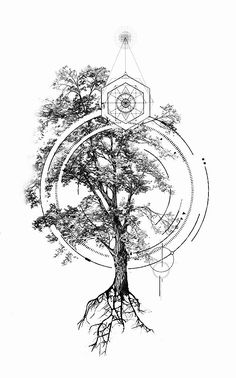 a drawing of a tree with its roots in the shape of a circle and an image of a clock on it