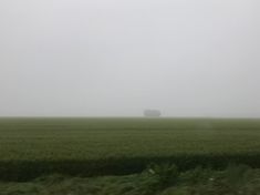 an open field with a lone tree in the distance on a foggy, overcast day