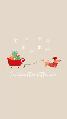 #christmas #christmasornaments #wallpaperforyourphone #dachshund Christmas Dachshund Wallpaper, Rudolph The Red Nosed Reindeer Wallpaper, Watch Background, Christmas Dachshund, Fb Cover, Mini Dachshund