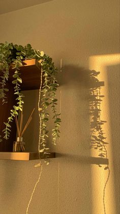 a potted plant sitting on top of a wooden shelf next to a wall mounted mirror