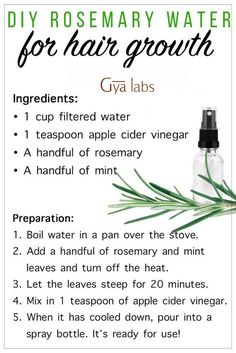 diy rosemary water for hair growth Rosemary Water For Hair Growth, Rosemary Water For Hair, Natural Hair Growth Remedies, Rosemary Water, Hair Growth Secrets