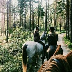 two people riding horses on a trail in the middle of a forest with tall trees