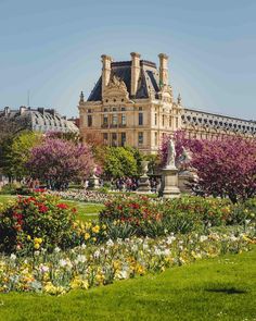 a large building sitting next to a lush green field with lots of flowers in front of it