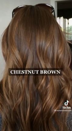 Auburn Hair Yellow Skin, Ladies Work Outfits Office Wear, Straight Chestnut Brown Hair, Carmel Brown Hair Warm, Warm Hair Color Ideas Brunettes, Chestnut Hair Color Dark, Brown Hair Bayalage, Warm Bayalage, Warm Honey Brown Hair Balayage