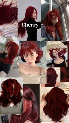 Red Types Of Hair Color, Cherry Violet Hair Color, Red Hair Dye Inspiration, Darkish Red Hair, Red Block Coloring Hair, Red Hair Color Block, Dull Red Hair, Faded Red Hair Color Before And After, Red Hair Swatches