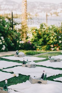 several empty wine bottles are sitting on the grass in front of some trees and bushes