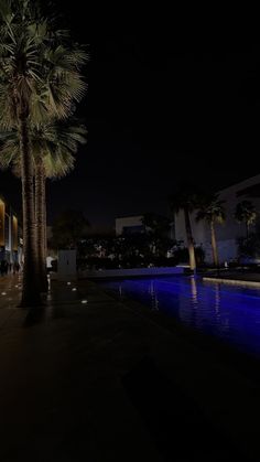 a palm tree next to a swimming pool at night