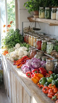 Homesteading Skills Vege Garden Aesthetic, Vision Board Garden, Owning A Farm Aesthetic, Home Grown Food, Garden Harvest Aesthetic, Homestead Vision Board, Horticulturist Aesthetic, Harvesting Aesthetic, Food Garden Aesthetic