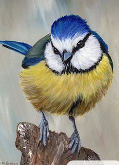 a painting of a blue and yellow bird sitting on a tree stump in the rain