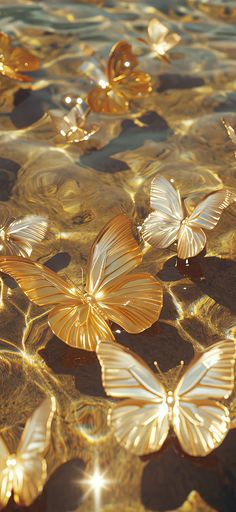 golden butterflies floating on top of the water