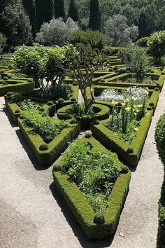 a formal garden with hedges and trees in the middle