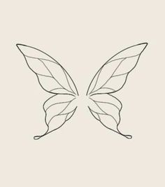 a line drawing of a butterfly's wings