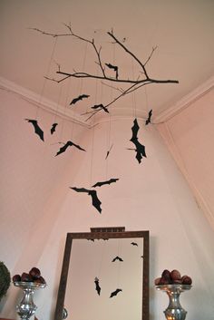 bats are hanging from the ceiling in front of a mirror