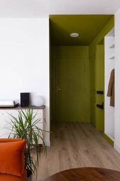 a living room filled with furniture next to a wooden floor and green door on the wall