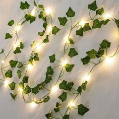 ivy vines with led lights on them are hanging from the wall in front of a white background